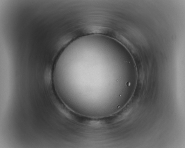 X0000114540394200910191346