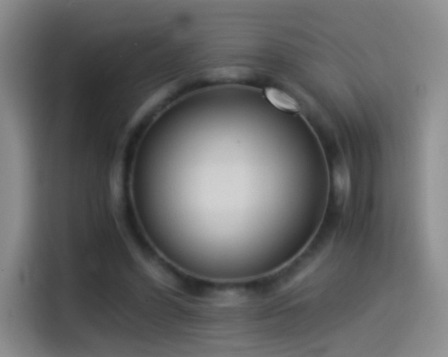 X0000114540396200910191346