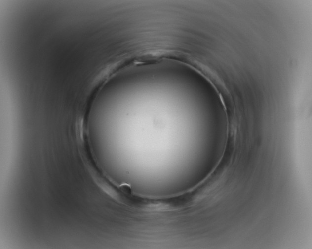 X0000114540397200910191346