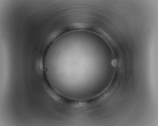 X0000114540398200910191346