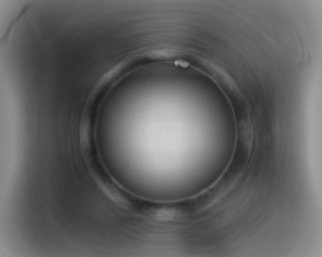 X0000114540400200910191346