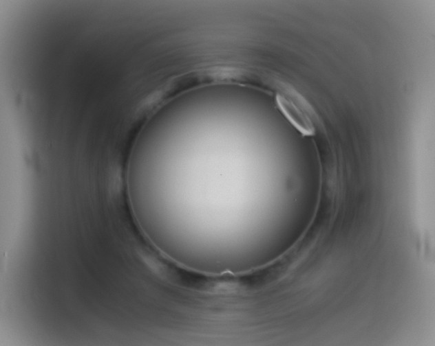 X0000114540401200910191346