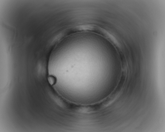 X0000114540402200910191346