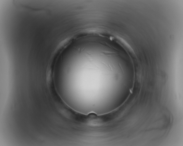 X0000114540403200910191346