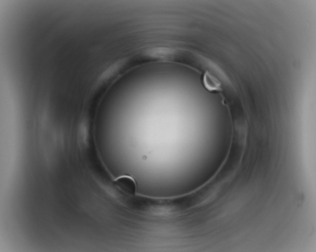 X0000114540404200910191346