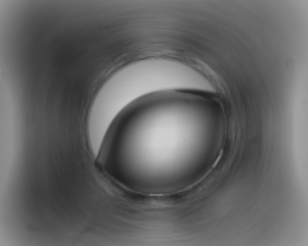 X0000114540405200910191346