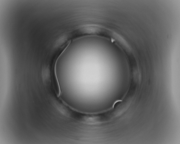 X0000114540407200910191346