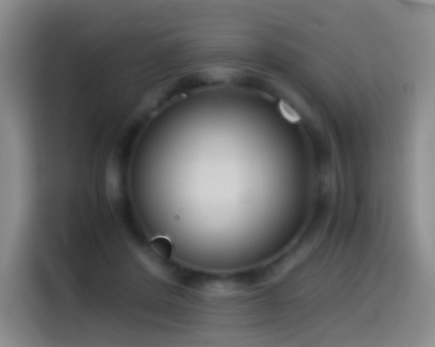 X0000114540408200910191346