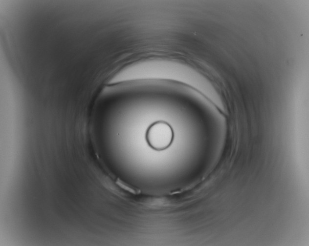 X0000114540409200910191346