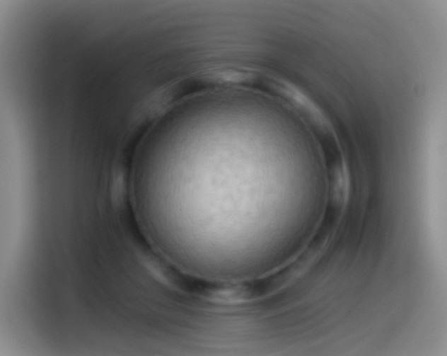 X0000114540410200910191346