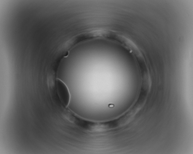 X0000114540413200910191346