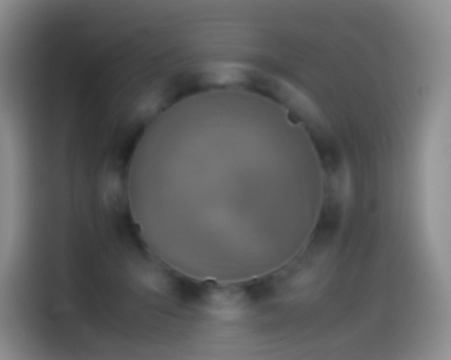 X0000114540415200910191346