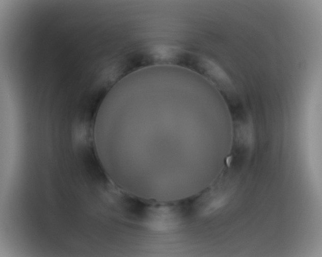 X0000114540419200910191346