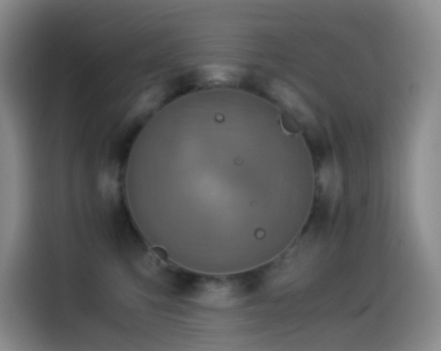 X0000114540423200910191345