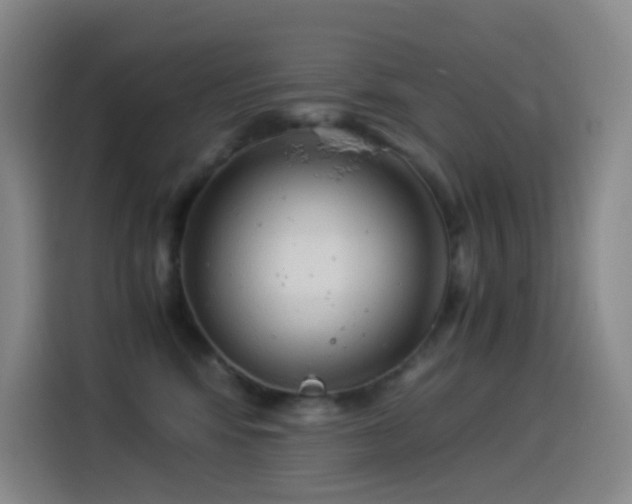 X0000114540424200910191345