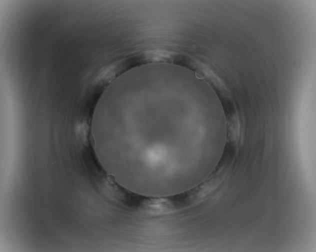 X0000114540427200910191345