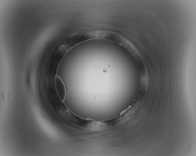 X0000114540429200910191345