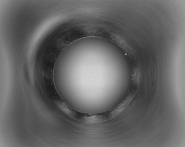 X0000114540430200910191345