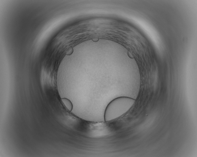 X0000114540431200910191345