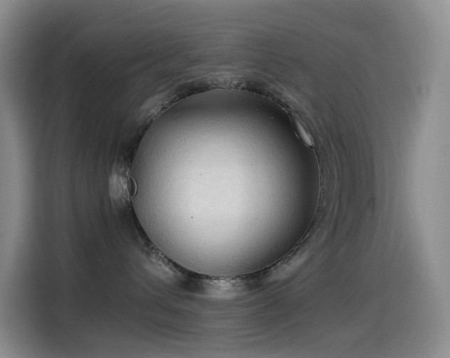 X0000114540432200910191345