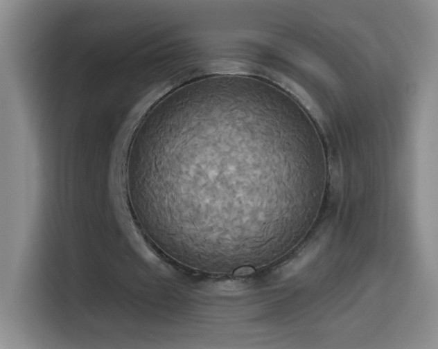 X0000114540433200910191345