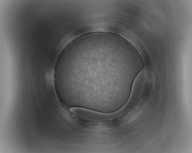 X0000114540434200910191345