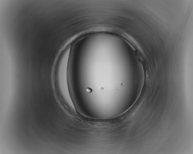 X0000114540436200910191345