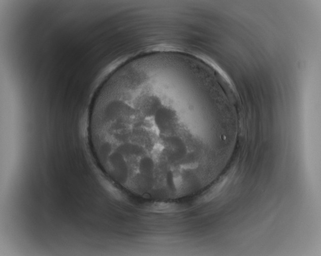 X0000114540437200910191345