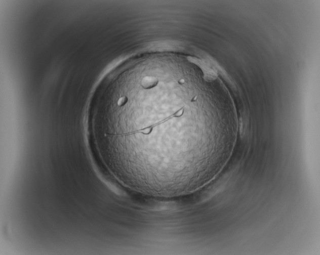 X0000114540438200910191345