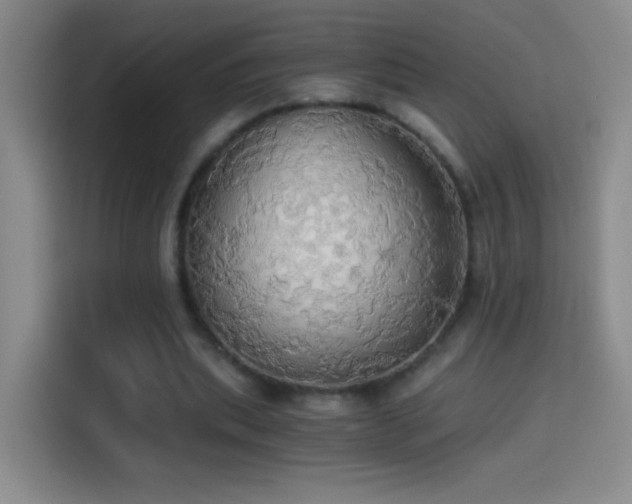 X0000114540439200910191345