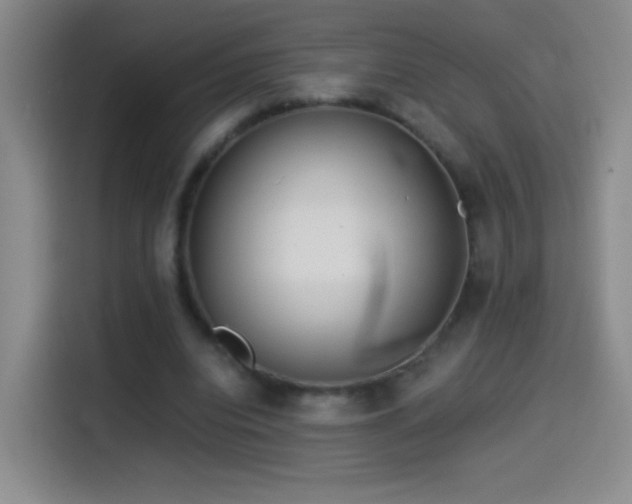 X0000114540440200910191345