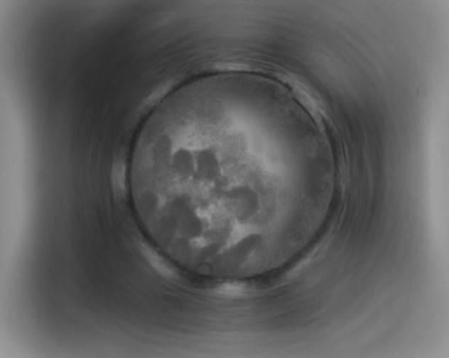 X0000114540441200910191345