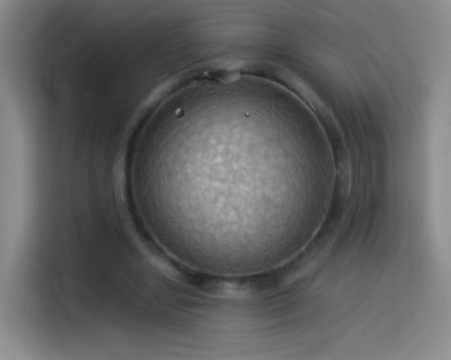 X0000114540442200910191345