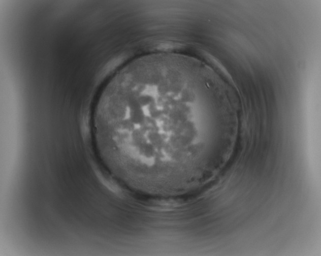 X0000114540443200910191345