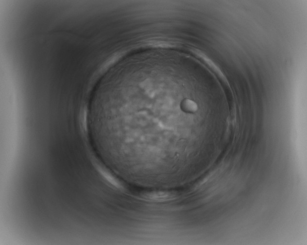 X0000114540445200910191345