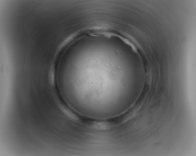 X0000114540446200910191345