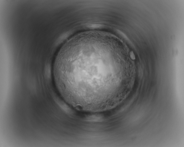 X0000114540447200910191345