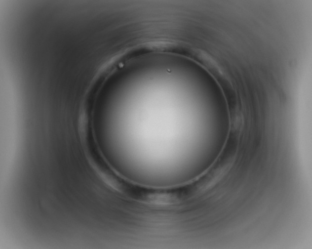 X0000114540448200910191345