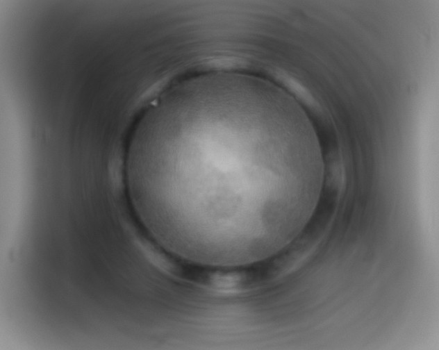 X0000114540450200910191345