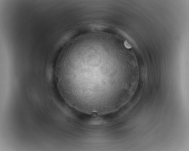 X0000114540451200910191345