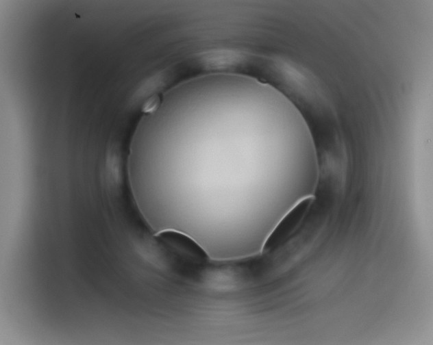 X0000114540452200910191345