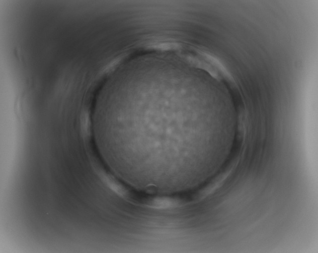 X0000114540453200910191345