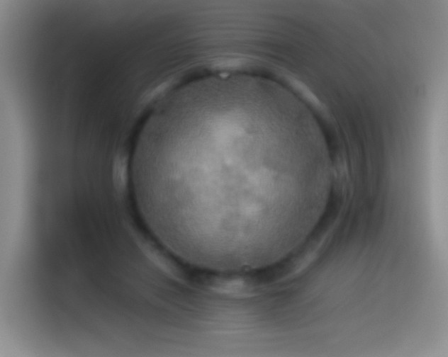 X0000114540454200910191345