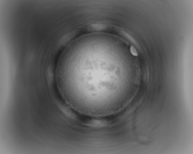 X0000114540455200910191345