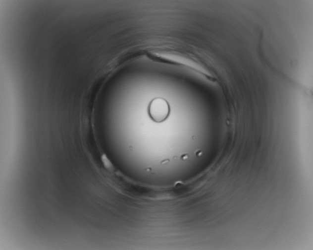 X0000114540456200910191345