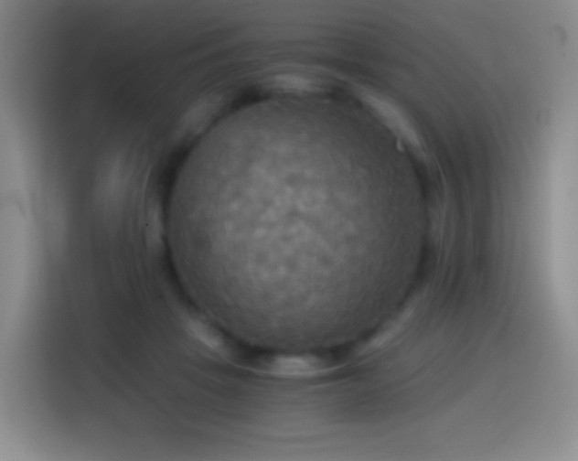 X0000114540457200910191345