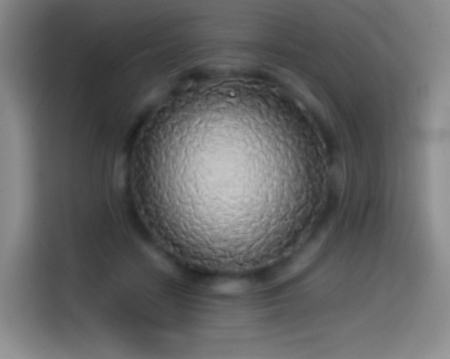 X0000114540458200910191345