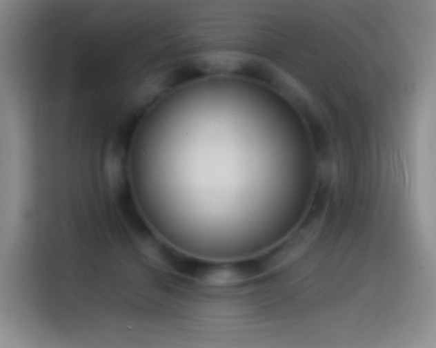 X0000114540460200910191345