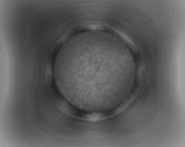 X0000114540461200910191345