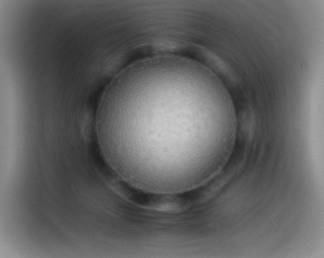 X0000114540463200910191345